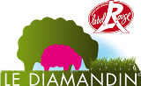 logo-le-diamandin